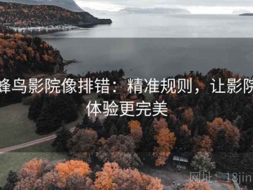 蜂鸟影院像排错：精准规则，让影院体验更完美