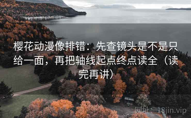 樱花动漫像排错：先查镜头是不是只给一面，再把轴线起点终点读全（读完再讲）